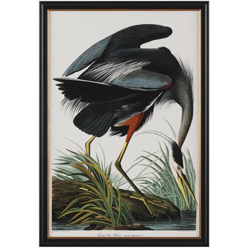Audubon Collection Group 39 X 27 inch Giclee, III-B