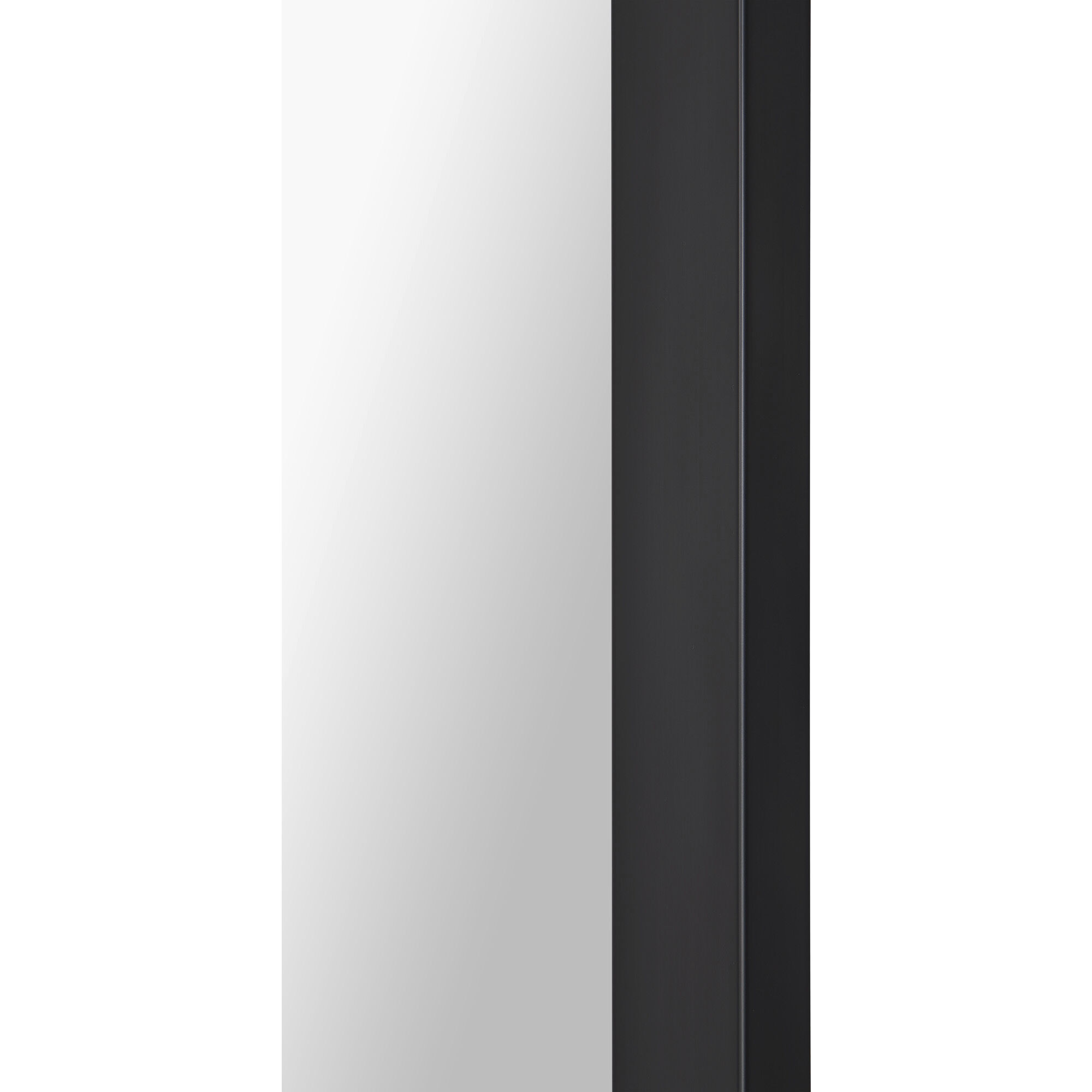 Salima 36 X 24 inch Matte Black and Clear Mirror