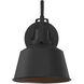 Farmhouse Outdoor Wall Lantern in Black