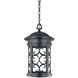 Ellington 1 Light 11 inch Oil Rubbed Bronze Outdoor Hanging Lantern