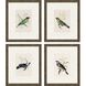 Animals Collection Multi Framed Art