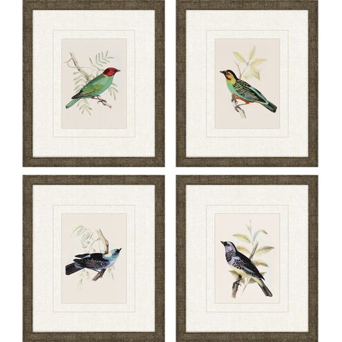 Animals Collection Multi Framed Art