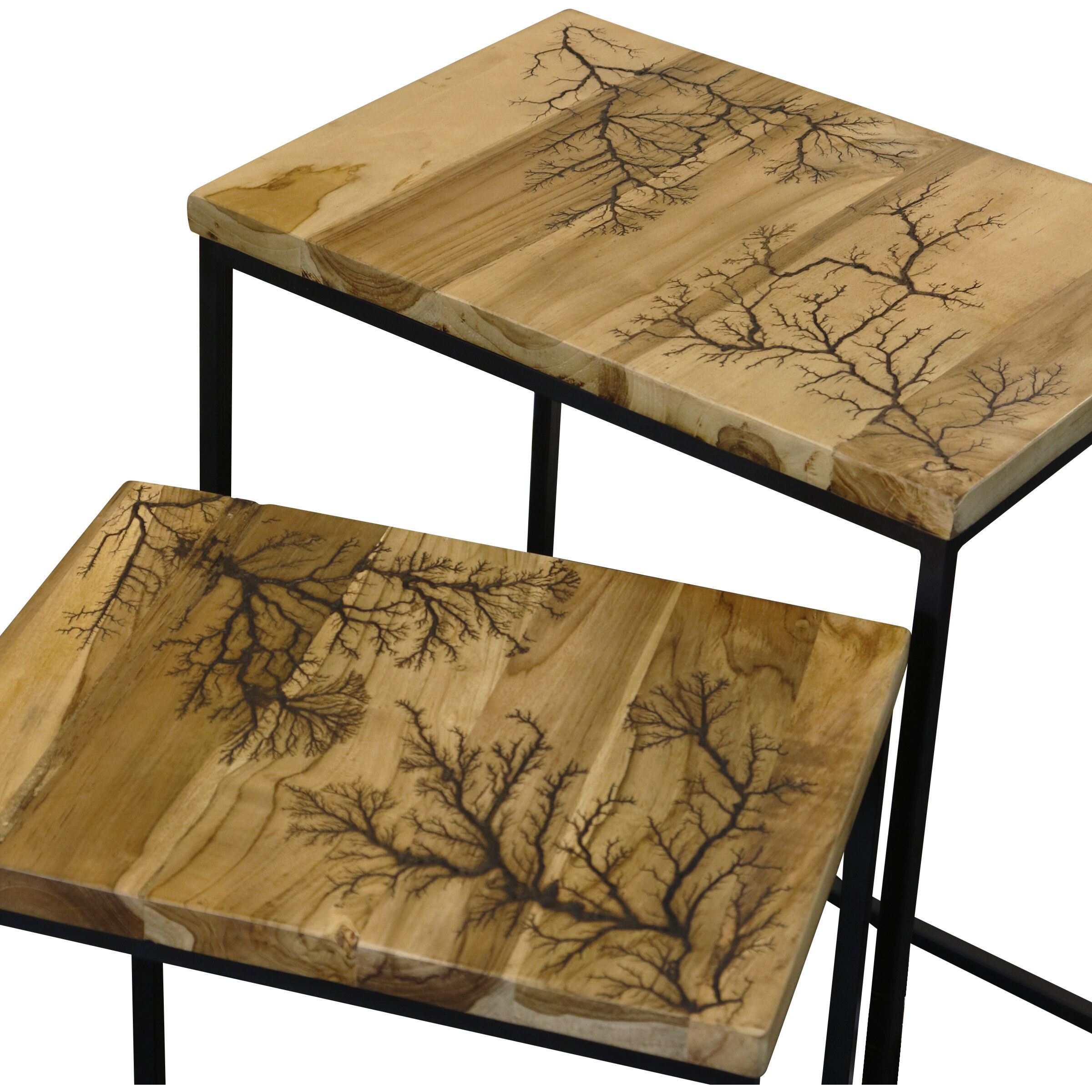 Winter Natural Brown and Black Side Table