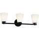 Fusion Collection - Alpino Family 25 inch Matte Black Bath Bar Wall Light