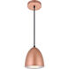 Neutra 1 Light 6 inch Honey Gold Pendant Ceiling Light