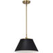 Dover 1 Light 13.75 inch Black/Vintage Brass Pendant Ceiling Light