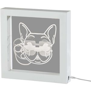 Cool Dog Video 9 inch 0.30 watt White Light Box Portable Light, Simplee Adesso