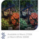 Balance 12 6.5 watt Bronze Path and Area Light in 3000K Warm White LED, WAC Landscape