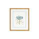 Chelsea House Gold Frame with French Mat Hand Colored Engraving
