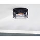 Alder 2 Light 13 inch Matte Black Flush Mount Ceiling Light