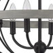 Somersworth 4 Light 20.38 inch White Washed/Black Chandelier Ceiling Light