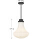 Bartlet 1 Light 14 inch Matte Black Pendant Ceiling Light