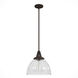 Cypress Grove 1 Light 13 inch Onyx Bengal Pendant Ceiling Light