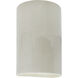 Ambiance Cylinder LED 9.5 inch White Crackle Outdoor Wall Sconce, Small