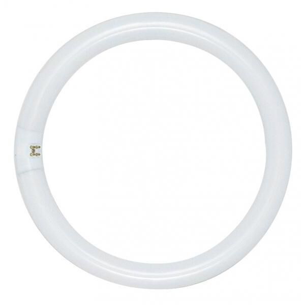 T5 circline bulb new arrivals