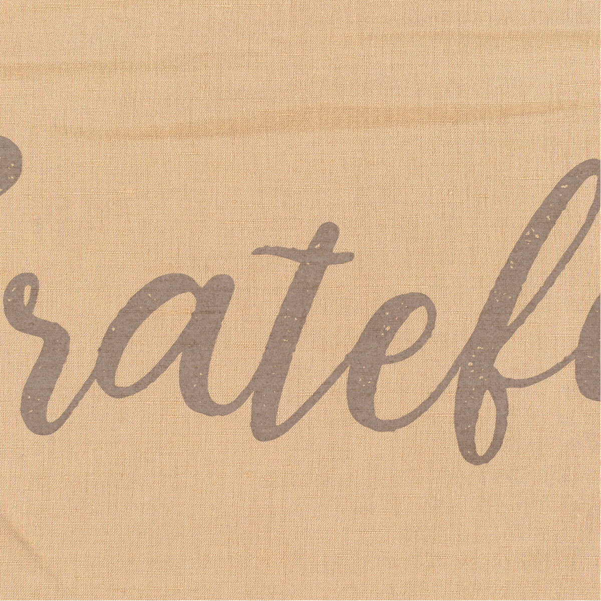 Blessings 20 X 13 inch Dark Brown/Tan Pillow Kit, Lumbar