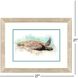Propac Brown and Turquoise and White and Multi Framed Art, Propac
