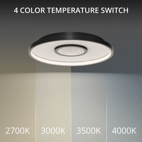 Pinpoint LED 16.38 inch Black Flush Mount Ceiling Light in 2700K, dweLED