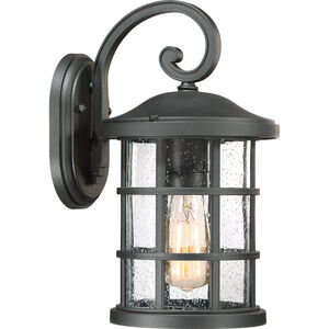 Crusade 1 Light 14 inch Earth Black Outdoor Wall Lantern