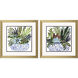 Succulent Garden Blue and Green Framed Art, Propac