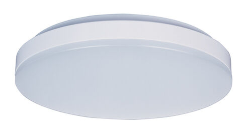 Profile EE LED 11 inch White Flush Mount Ceiling Light