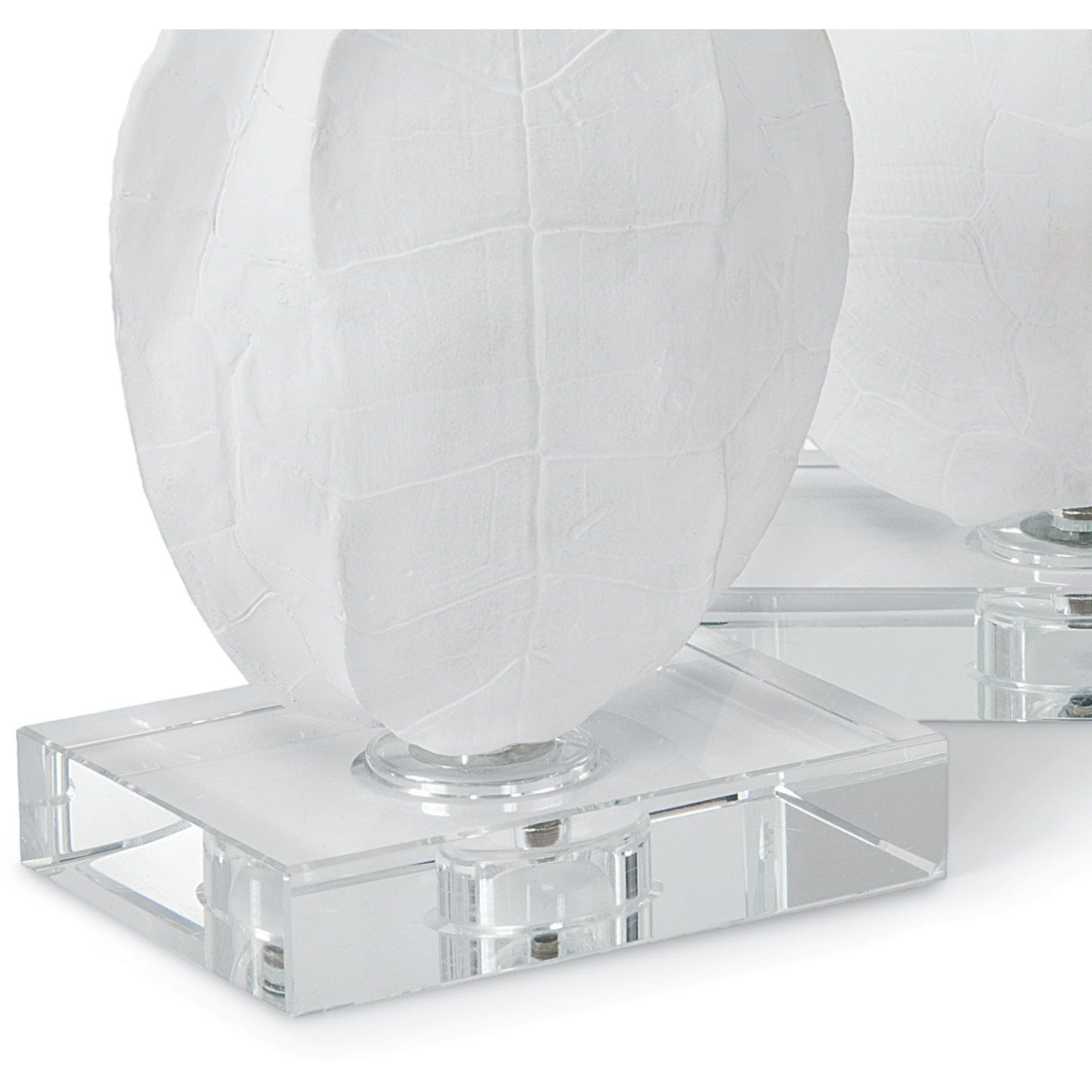 Turle Shells Natural Objet, On Crystal