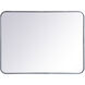 Evermore 32 X 24 inch Silver Mirror