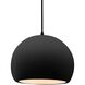 Radiance LED 10 inch Carbon Matte Black and Matte Black Pendant Ceiling Light