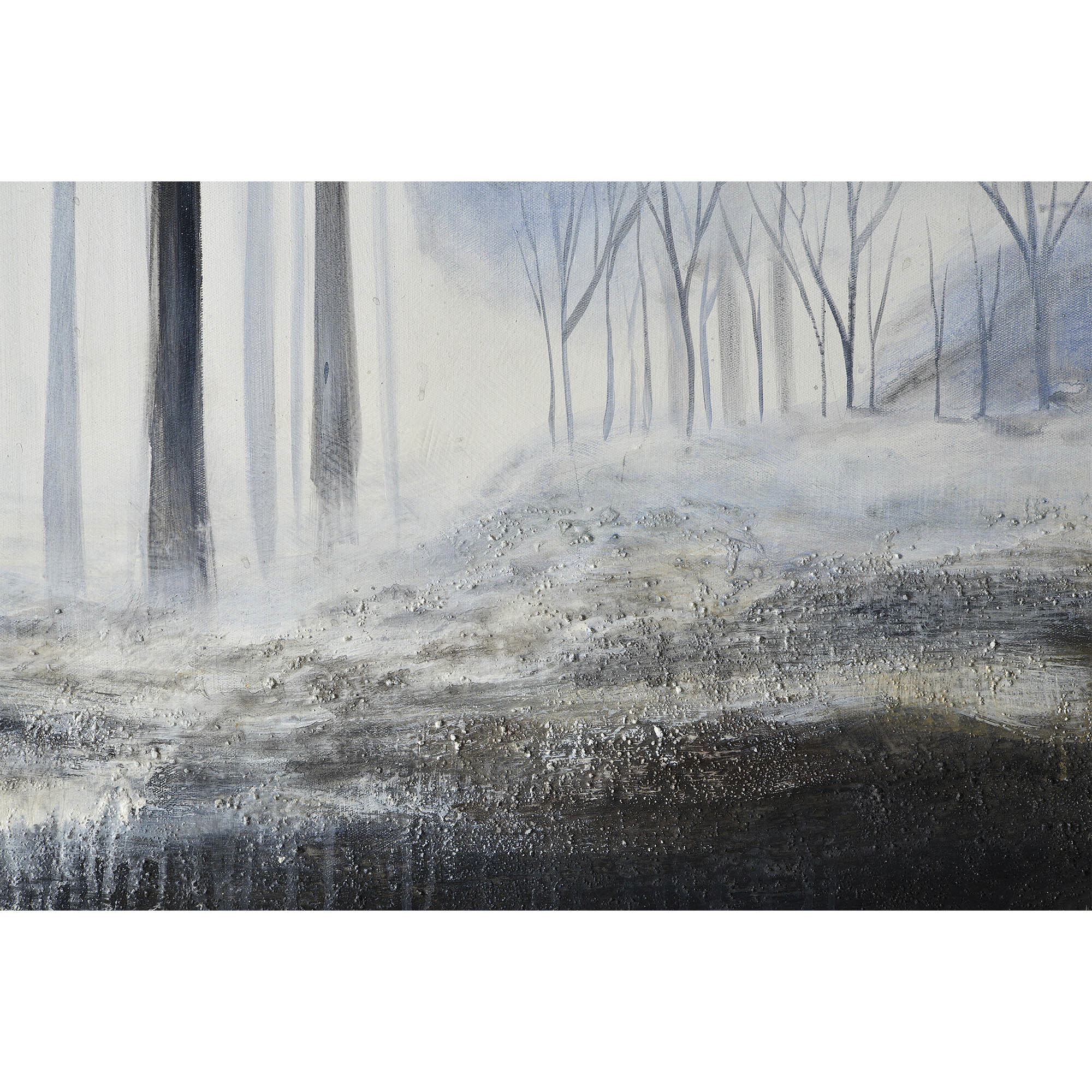 Rainier Multicolor Canvas Art