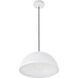 Forte 1 Light 14 inch White Pendant Ceiling Light