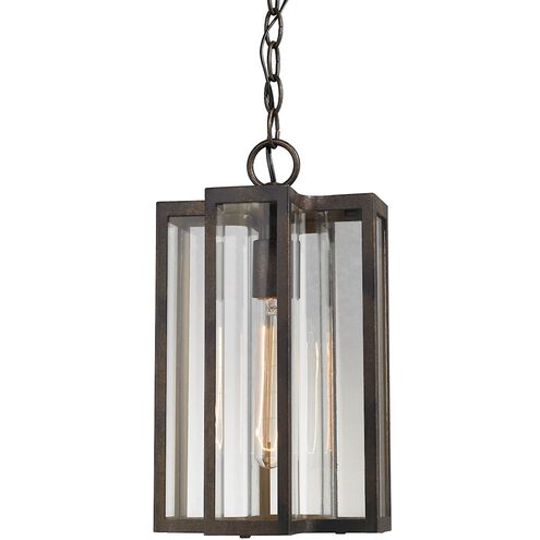 Bianca 8 inch 100.00 watt Hazelnut Bronze Outdoor Pendant