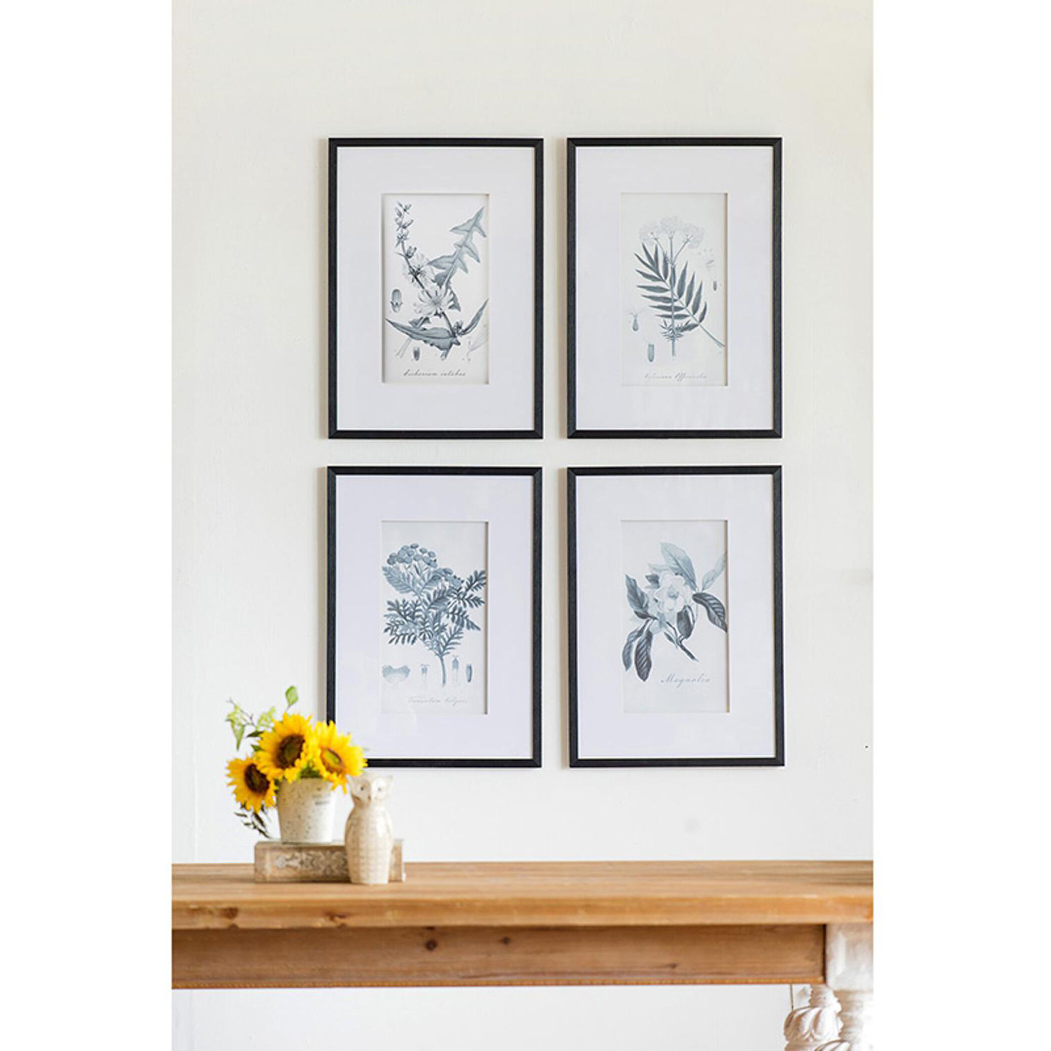 Botanical Black and White Wall Art, Set of 4