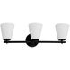 Fusion Collection - Alpino Family 25 inch Matte Black Bath Bar Wall Light