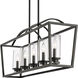 Mercer Island Light Ceiling Light in Clear Glass, Matte Black/Matte Black