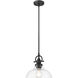 Virginia 1 Light 10 inch Matte Black Pendant Ceiling Light