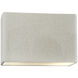 Ambiance Collection LED 8 inch White Crackle Outdoor Wall Sconce
