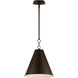 Veritas 1 Light 12 inch Chestnut Bronze Single Pendant Ceiling Light