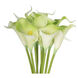 Calla Lily Green Floral DTcor in Cream/Green