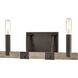 Transitions Vanity Light Wall Light