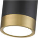 Algar LED 6 inch Matte Black and Modern Gold Flush Mount Ceiling Light