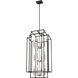 Titania 12 Light 20 inch Black and Brushed Nickel Chandelier Ceiling Light