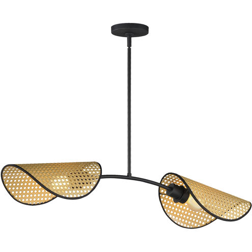 Bonnet 2 Light 34.5 inch Black Linear Pendant Ceiling Light