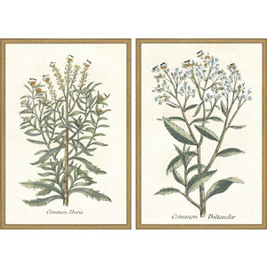 Botanical Plants Green and Multi and Neutral and Yellow Framed Art