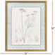 Botanical Sketch III Gray and Beige and Neutral and Sepia Framed Art