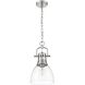 Yep Duncan 1 Light 8.88 inch Pewter Pendant Ceiling Light in Clear Glass