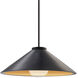 Radiance Collection - Flare 1 Light 11.75 inch Carbon Matte Black/Champagne Gold and Matte Black Pendant Ceiling Light in Replaceable Bulb, Rigid Stem, Form+Finish+Function