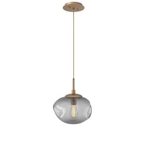 Nova Incandescent 1 Light 10 inch Novel Brass Pendant Ceiling Light in Smoke