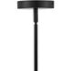 Orla LED 24 inch Black Chandelier Ceiling Light