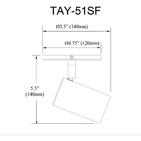 Taylor 3 Light 120 Matte White Track Light Ceiling Light, Fixed Arm
