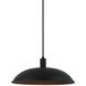 Farmley 1 Light 16 inch Matte Black Outdoor Pendant